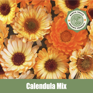 Calendula - Pot Marigold - Asteraceae